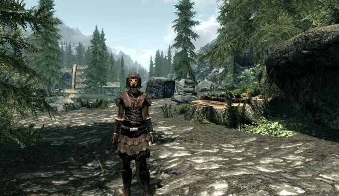 Weekend Adventures (and a lack of posts) #Skyrim&nbsp;#NaNoWriMo