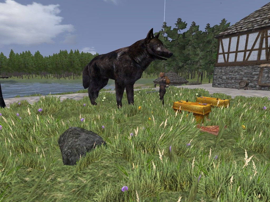 Charming Wolves in the&nbsp;Wilderness